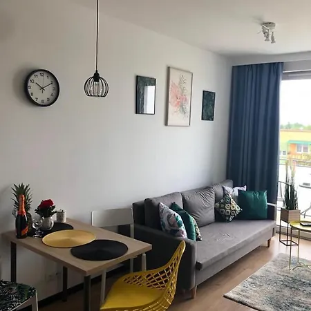 Pileckiego Airport Modlin 24 H *