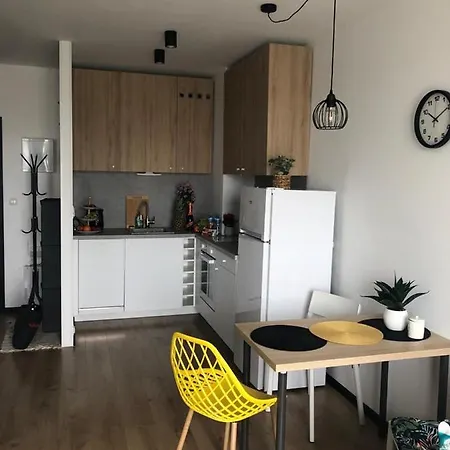 Apartment Pileckiego Airport Modlin 24 H Nowy Dwor Mazowiecki