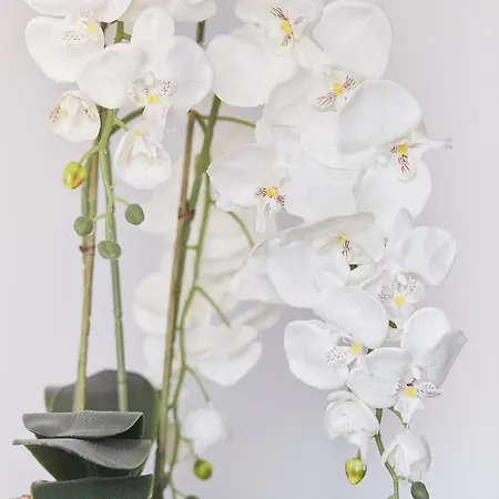 Apartament Pileckiego Airport Modlin 24 H Nowy Dwór Mazowiecki