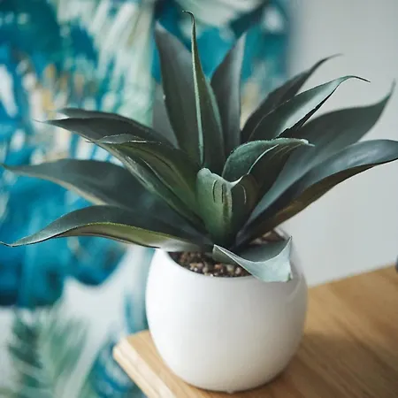 Pileckiego Airport Modlin 24 H *