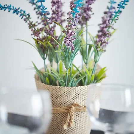 Pileckiego Airport Modlin 24 H Apartament Nowy Dwór Mazowiecki